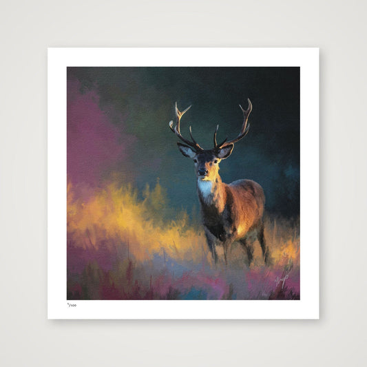 First Light art print by Natalie Jump. A stag stands quietly in the stillness of morning, soft light traces the contours of its face and antlers, giving it a quiet, grounded presence.