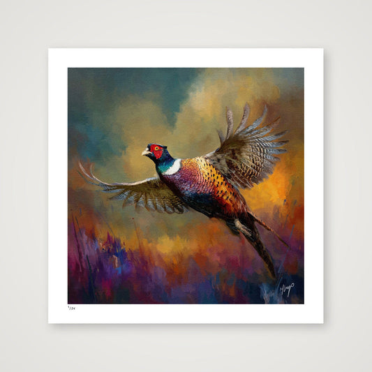 Sudden Flight wildlife art print by Natalie Jump. Capturing the dramatic movement of a pheasant taking flight.