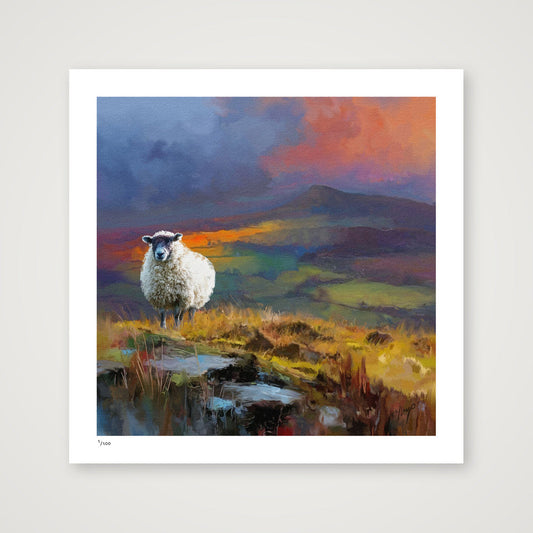 Clee Hill wildlife open edition art print by Natalie Jump. Capturing a solitary sheep standing in a beautiful, wild British landscape.