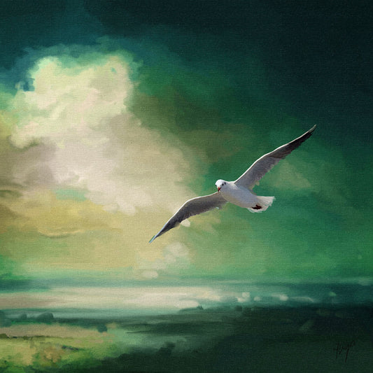 Glide wildlife art print by Natalie Jump. A lone seagull glides effortlessly across a deep sea green sky. 
