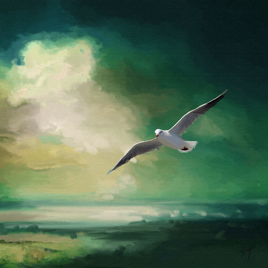 Glide wildlife art  print by Natalie Jump. A lone seagull glides effortlessly across a deep sea green sky. 