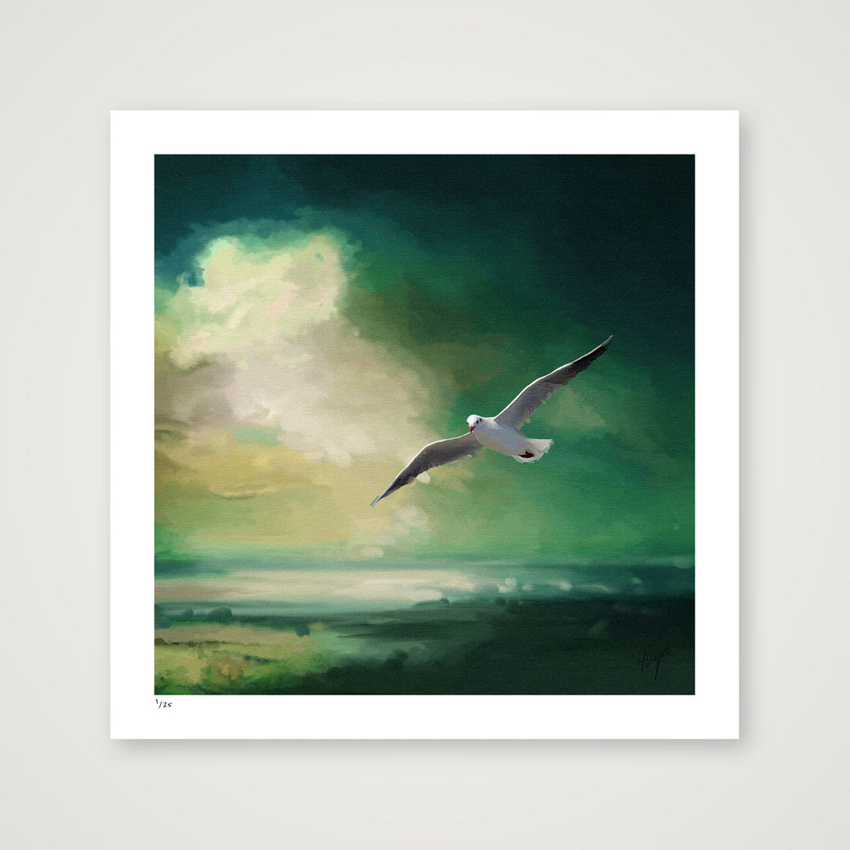 Glide art print by Natalie Jump. A lone seagull glides effortlessly across a deep sea green sky.