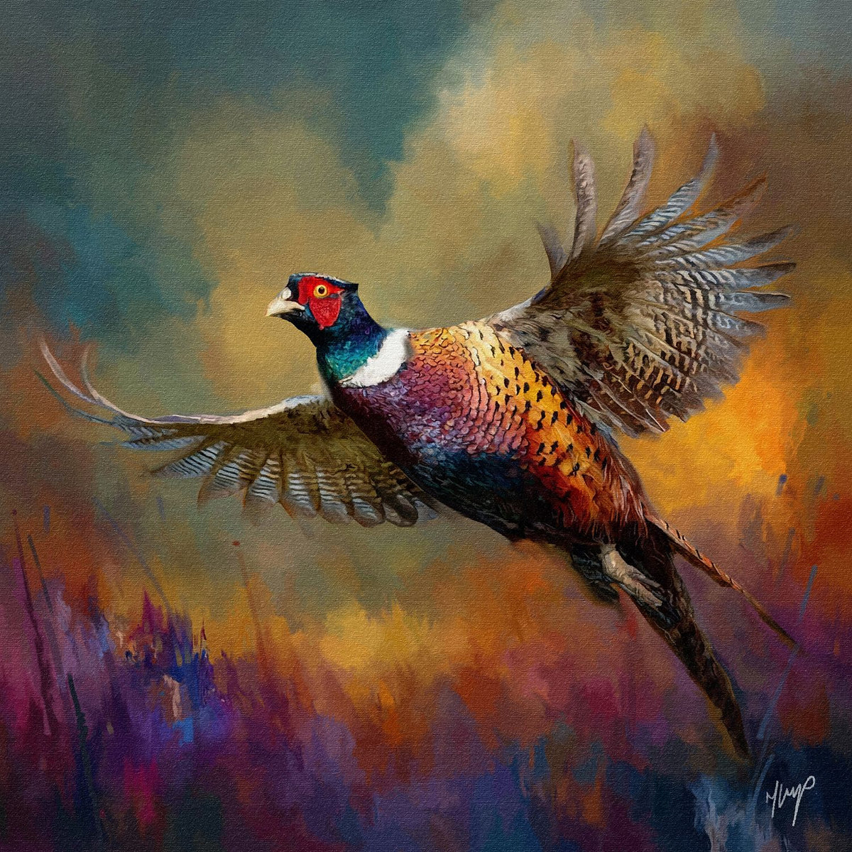 Sudden Flight wildlife art print by Natalie Jump. Capturing the dramatic movement of a pheasant taking flight. 